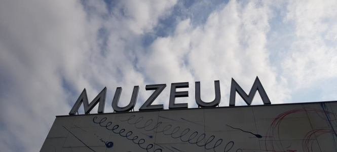 Kolor w naturze i forma w przestrzeni – warsztaty w Muzeum Sztuki Nowoczesnej