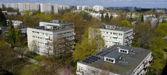 SPACER - POSZUKIWANIE WIOSNY NA SADACH ŻOLIBORSKICH