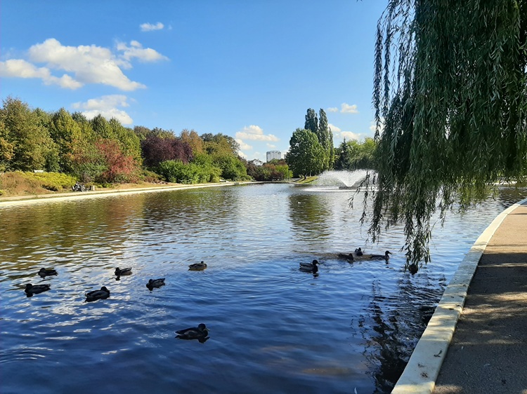 Warszawski Central Park