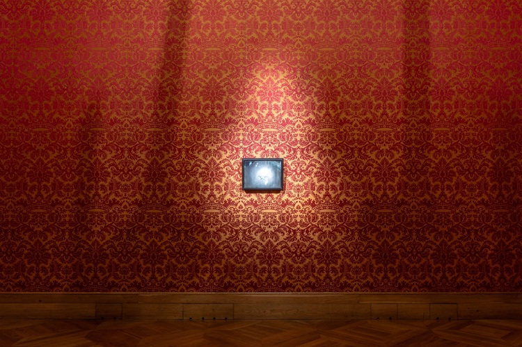 Fragment wystawy Łukasz Stokłosa. Lśnienie - Zamek Królewski w Warszawie