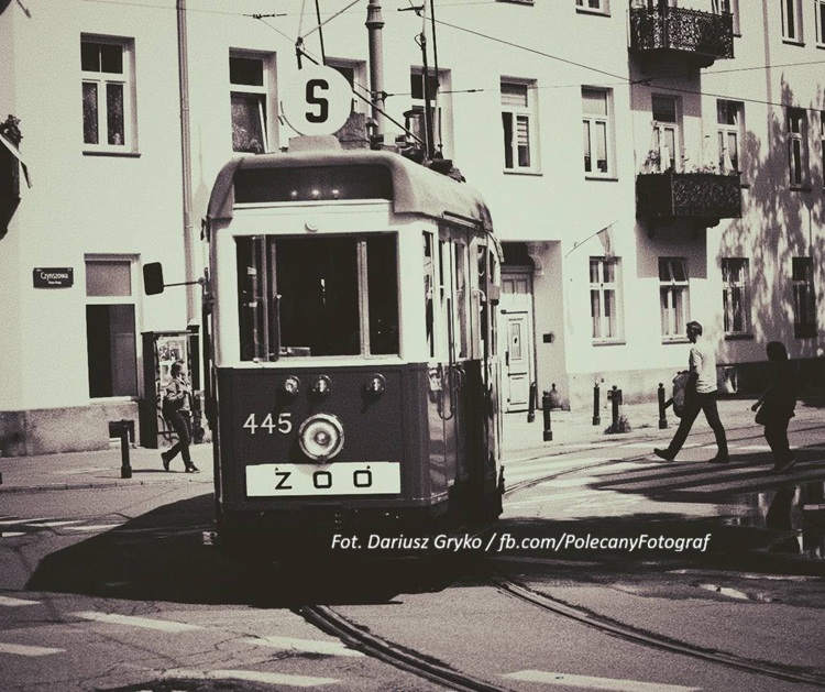 Tramwaj K nr 445 z 1940 r. na warszawskim skrzyżowaniu — jeden z najstarszych pojazdów kursujących w ramach Warszawskich Linii Turystycznych. Fot. Dariusz Gryko / fb.com/PolecanyFotograf
