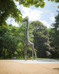 Park Praski jak nowy