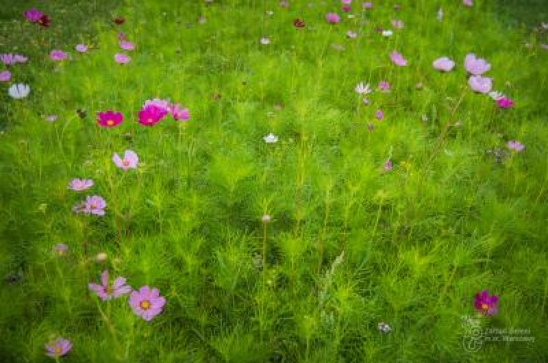 Kolejne dwa parki na mapie Warszawy