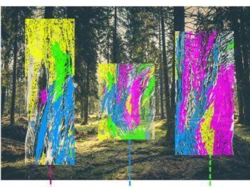 Wawer. Twórczy potencjał