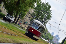 Noc parówkożerców na placu Narutowicza