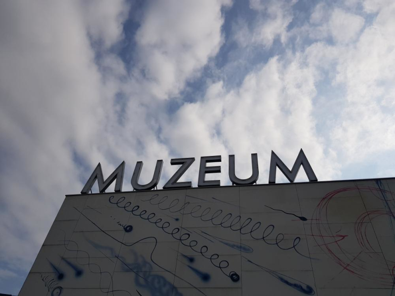 Kolor w naturze i forma w przestrzeni – warsztaty w Muzeum Sztuki Nowoczesnej