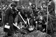 Zielona historia miasta