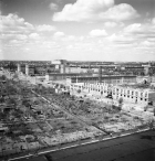 Zielona historia miasta