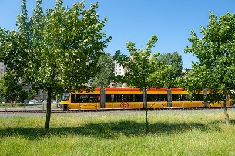 Dzień bez Samochodu: darmowa komunikacja miejska
