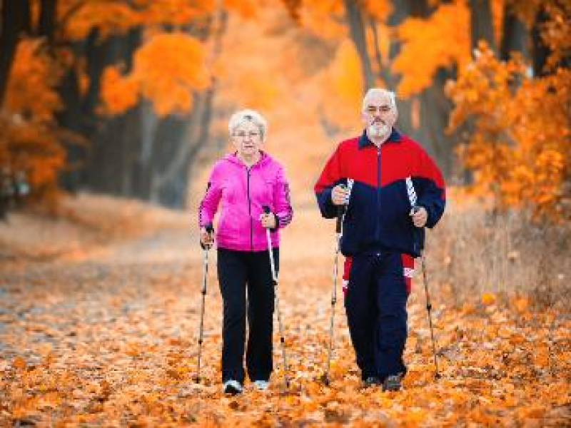 Bezpłatne zajęcia z Nordic Walking dla seniorów