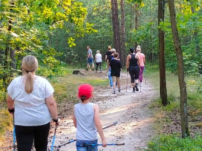 Zajęcia nordic walking