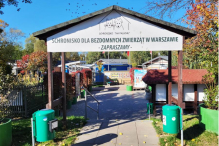 Budowa pawilonu dla starszych psów na Paluchu