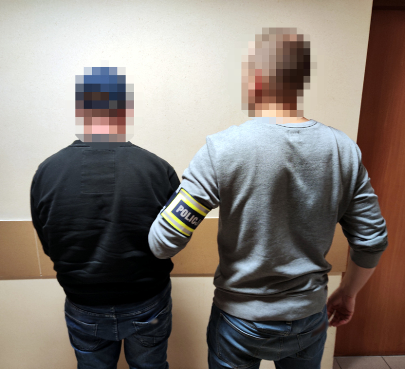 Bliźnięta tymczasowo aresztowane za kradzieże i oszustwa metodą "na legendę"