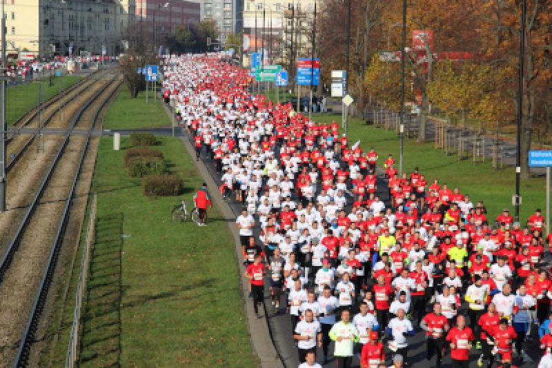 Bieg Niepodległości – ostatnia prosta