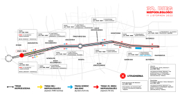 Bieg Niepodległości – ostatnia prosta