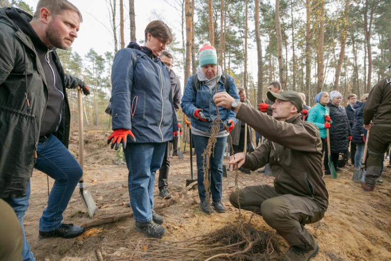 2 tysiące nowych drzew na Bielanach