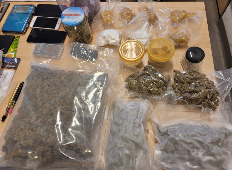 Areszty dla kobiety i mężczyzny za posiadanie blisko 3 kilogramów narkotyków