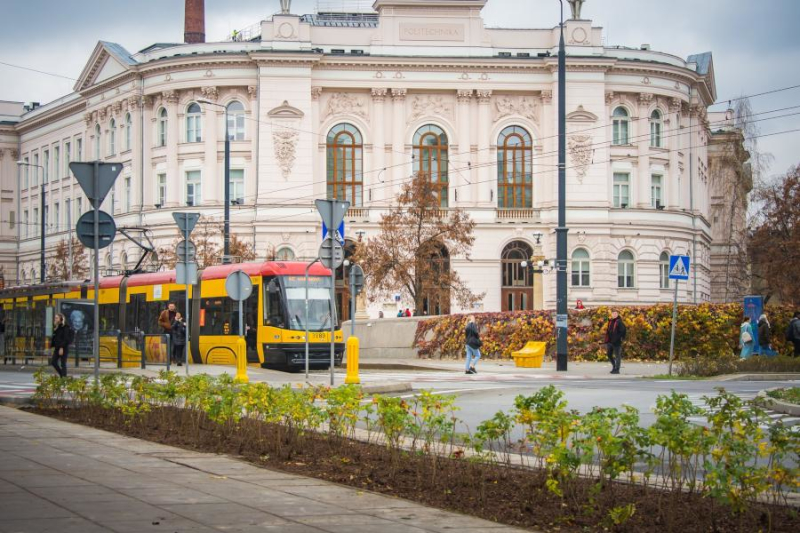 Niemal 4 tysiące drzew z inicjatywy mieszkańców