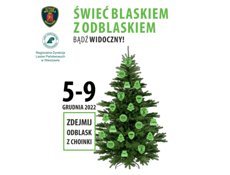 Zdejmij z choinki odblask – i świeć przykładem
