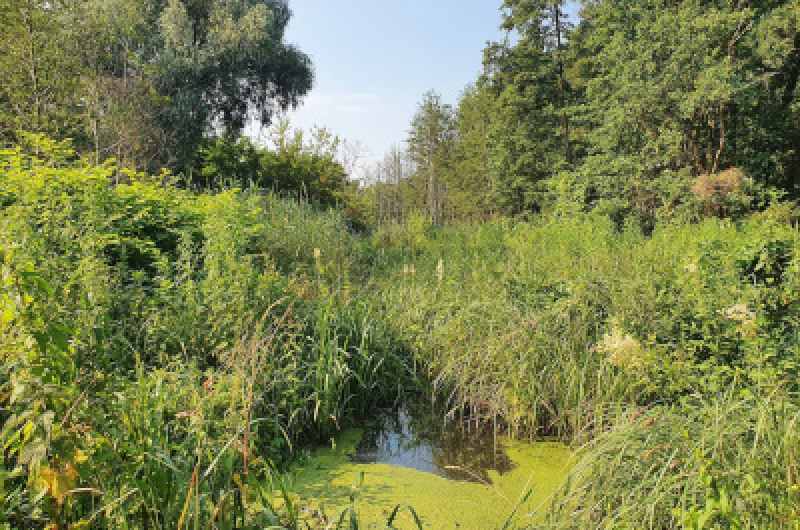 Siedem nowych planów zagospodarowania dla stolicy