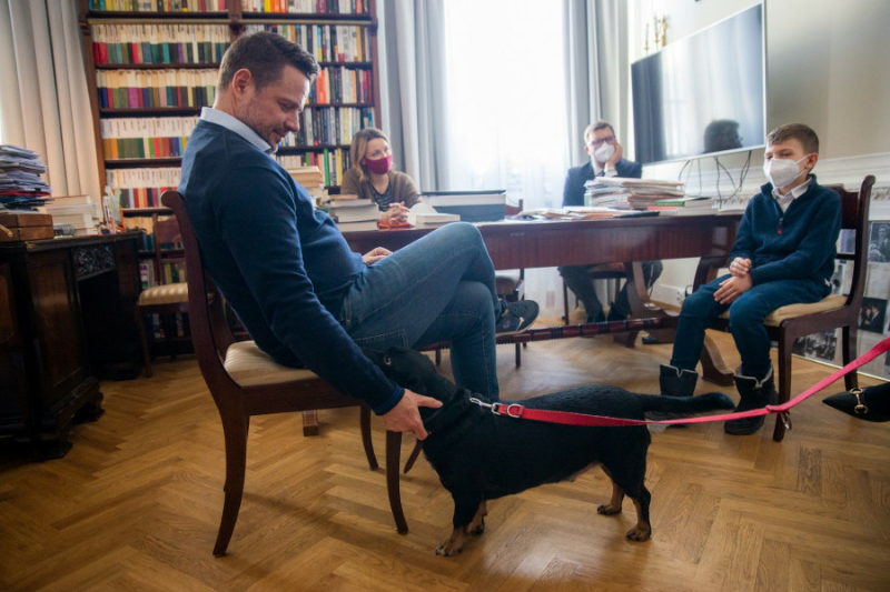 „Muj pies się bał fajerwerek”