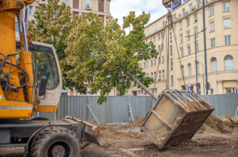 Jak dbać o zieleń podczas inwestycji?