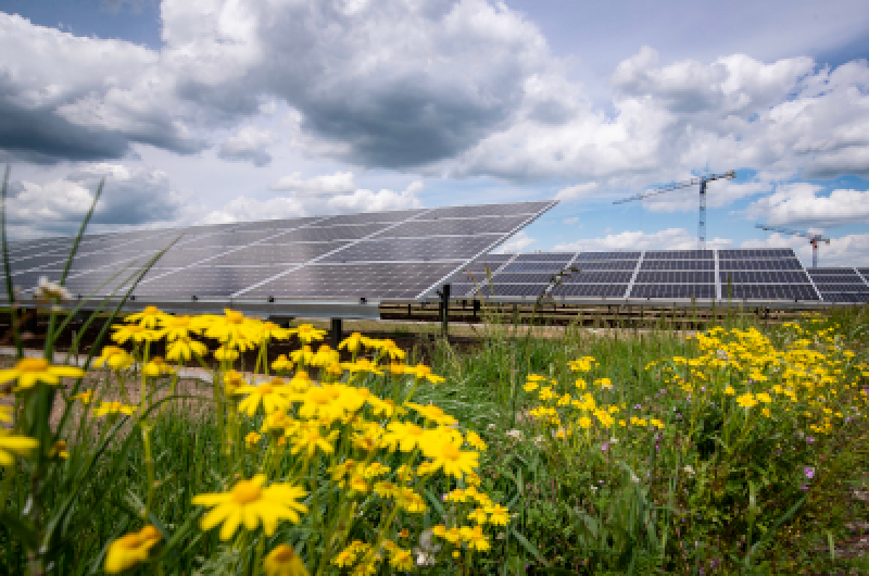 Stolica zielonej energii
