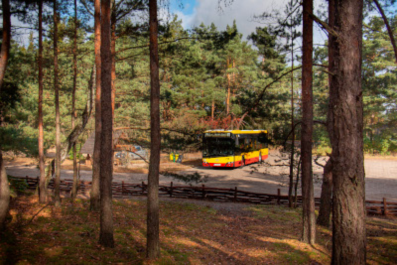 Miejskim autobusem do Puszczy Kampinoskiej