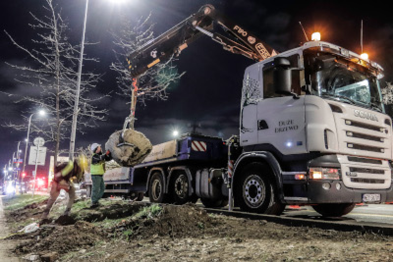 9 kilometrów trawy i tysiąc drzew