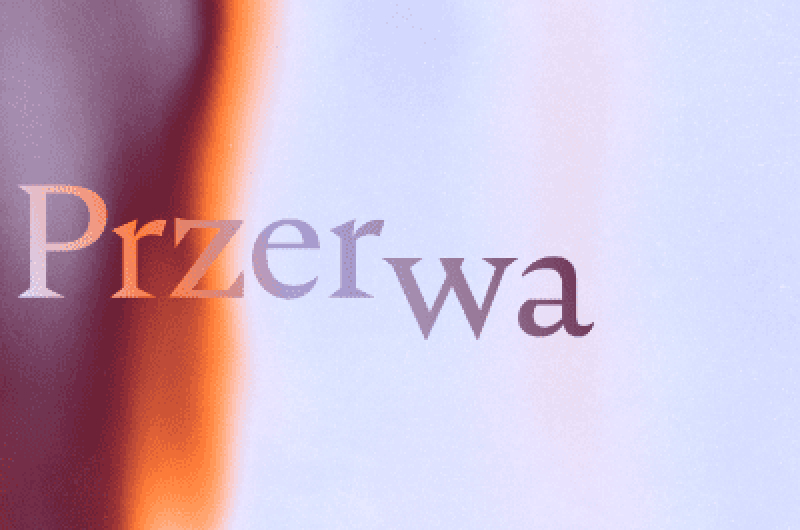 Przerwa na poezję