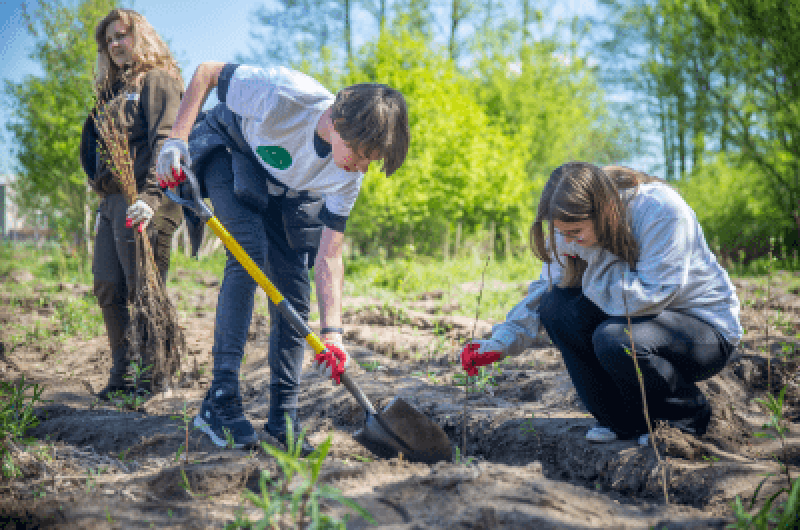 100 hektarów dla Lasów Miejskich