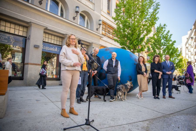 Pisklę w centrum miasta – trzeba się przytulić