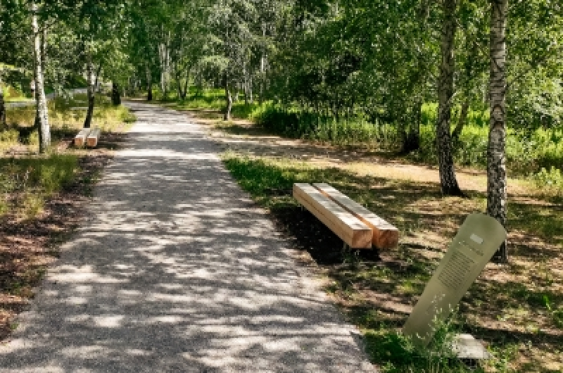 Rodziny piknik w parku na Ursynowie