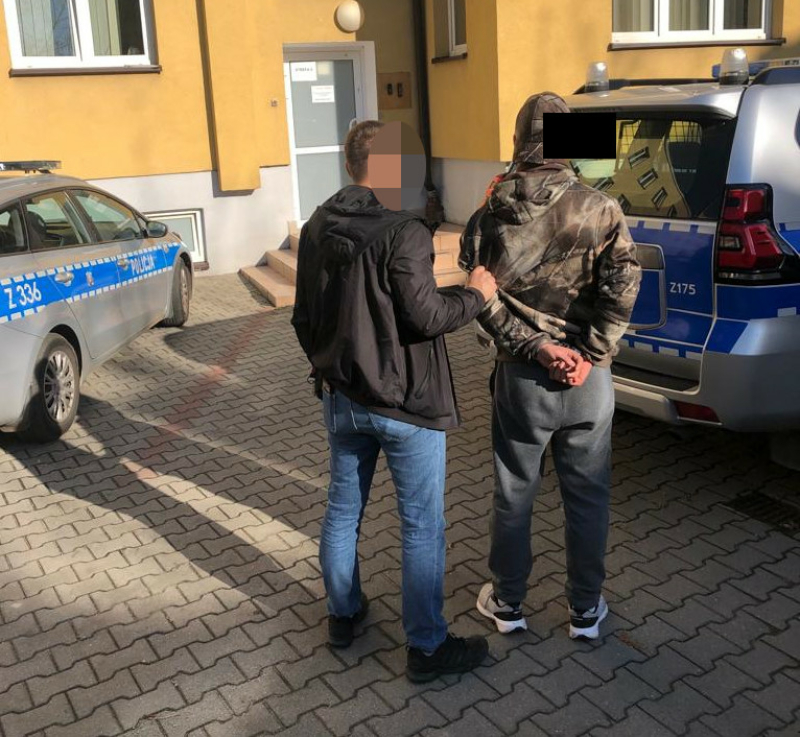 Tymczasowy areszt za 17 przestępstw przeciwko mieniu