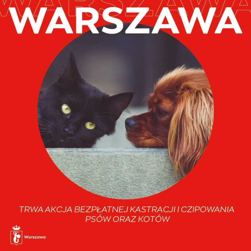 Finansowanie zabiegów kastracji oraz czipowania zwierząt