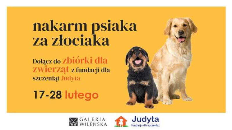 Ruszyła akcja - Nakarm psiaka za złociaka - w Galerii Wileńskiej