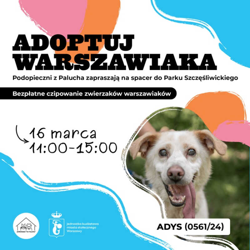 Adoptuj Warszawiaka w marcu