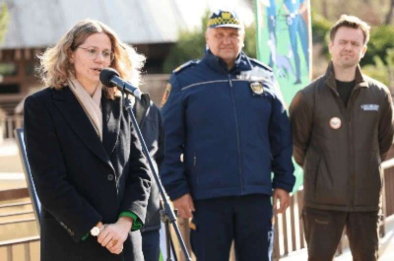 Jak nie szkodzić dzikim zwierzętom?