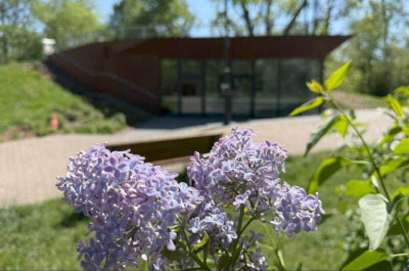 Dzielnica Mokotów zaopiekuje się pawilonem na Skwerze Ormiańskim