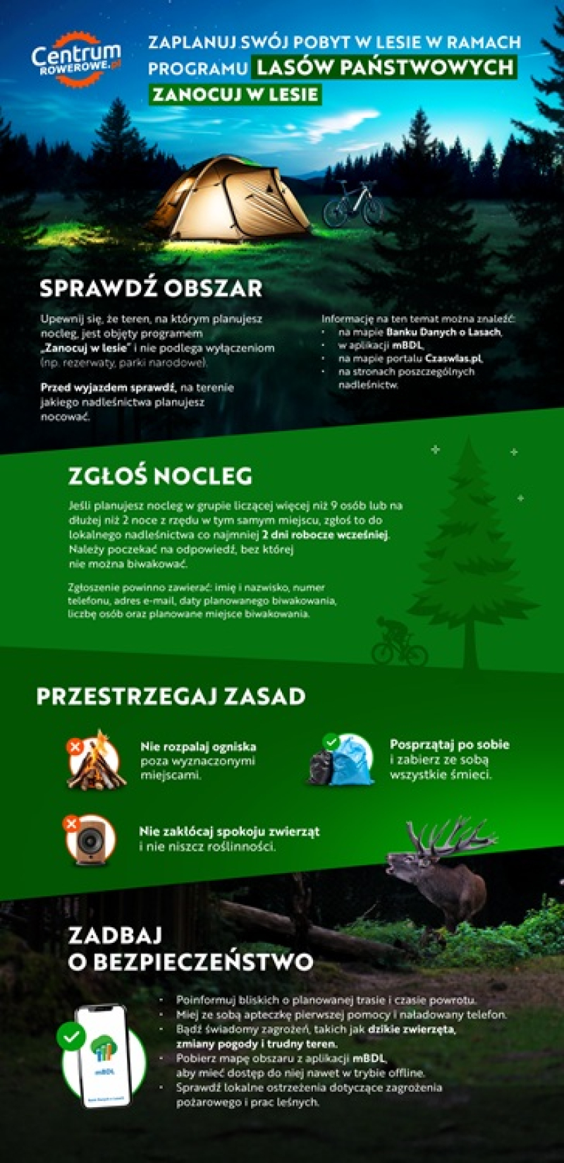 Jak legalnie zanocować w lesie? Poradnik od CentrumRowerowe.pl