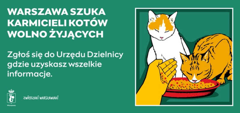 Dołącz do grona opiekunów wolno żyjących kotów