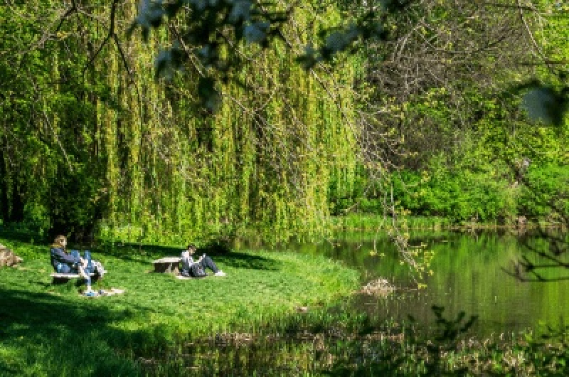 Perełki Warszawy 2025 – jubileuszowa edycja miejskiego konkursu