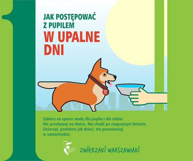 Nie zapominajmy o zwierzętach w upalne dni