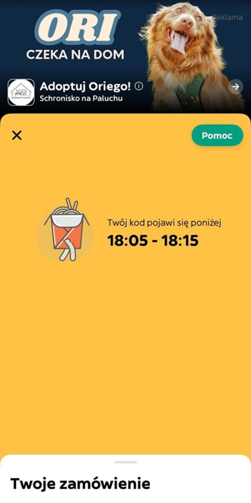 Milion szans więcej na adopcję czworonogów – Glovo i Schronisko Na Paluchu łączą siły