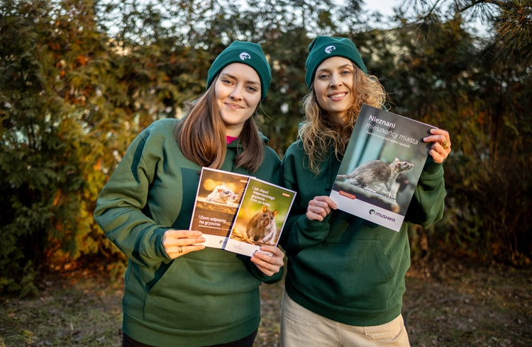 Fundacja Mushika rusza z kampanią - Jestem... - na ulicach Warszawy i publikuje pierwszy w Polsce raport poświęcony szczurom wolno żyjącym