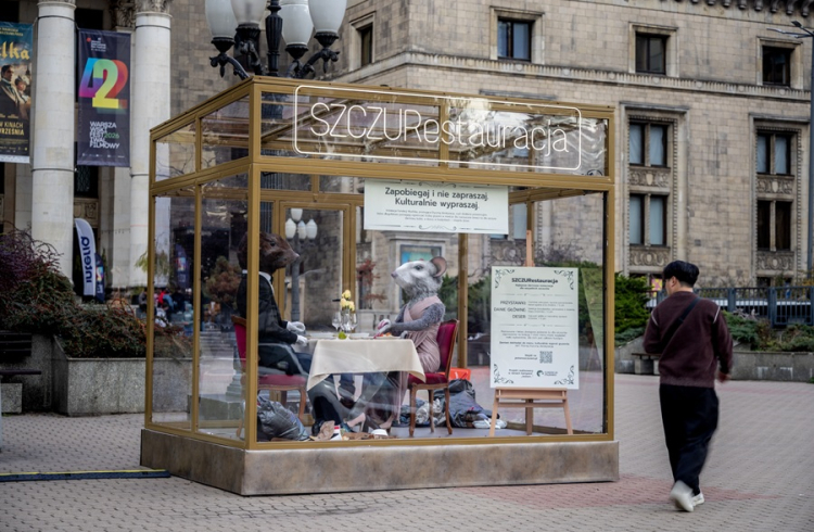 SZCZURestauracja pod Pałacem Kultury i Nauki. Nietypowa instalacja w centrum Warszawy